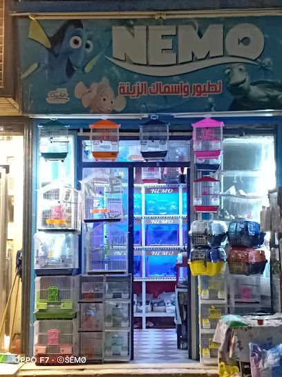 محل نيمو لطيور واسماك الزينه بطهطا