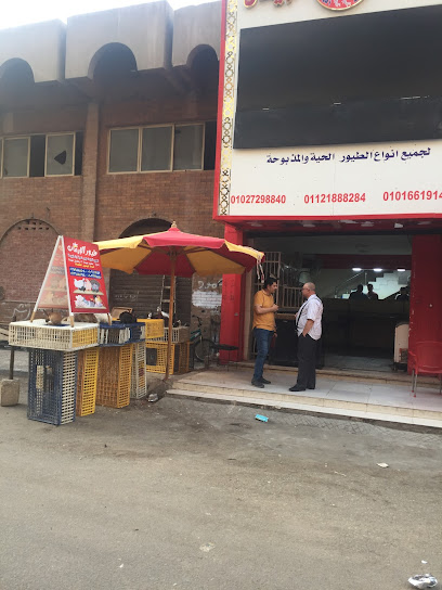 محل طيور فريش طيور الايمان عباس العقاد مدينة نصر