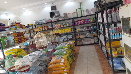 الهدهد للحيوانات الأليفة