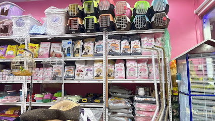 الركن الأليف للطيور والحيونات الأليفه