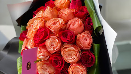 Florino Flowers فلارينو فلورز