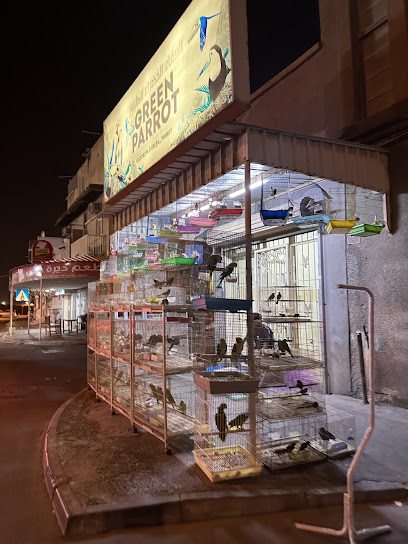 Green Parrot Birds shop
