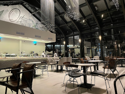 اوبشنز كافيه المقهى الزجاجي محمصة وقهوة مختصة