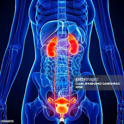 عيادة أ د / رزق الجالى