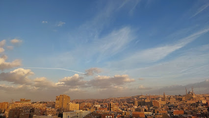 دكتور حسن الشربينى جمعة