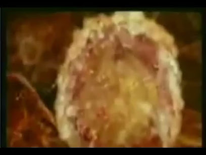 مركز المرأه والرجل للخصوبة - د. خالد عطيف