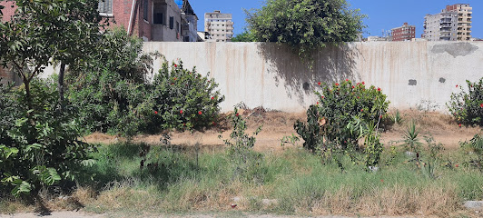 مستشفى الصدر