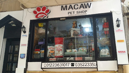 macaw pet store