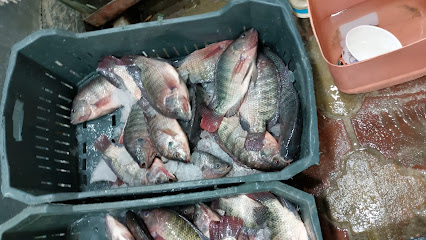 مطعم هيما للمأكولات البحرية