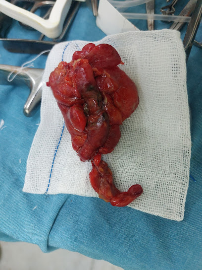 عيادة دكتور مروان السيد سالم