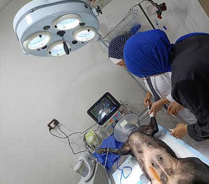 Pets Haven Clinic in Alex عيادة بيطرية بالاسكندرية