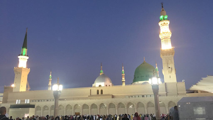 دكتور هشام العشماوى