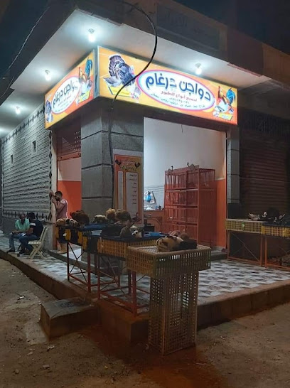 دواجن درغام