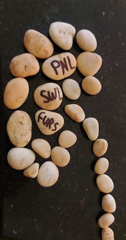 عيادة د مصطفي سعيد لمناظير و جراحات المسالك البولية