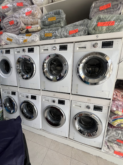 مغسلة الامواج الذاتية