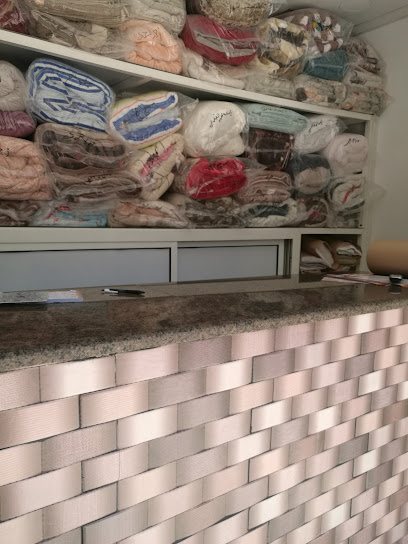 مغسله النخيل