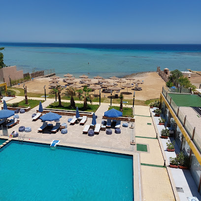 كازابلانكا ستار