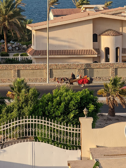 Sunny Seaside Villa