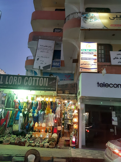 عيادة دكتور ريمون داود للأمراض الباطنية