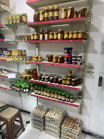 البان زهره السويس