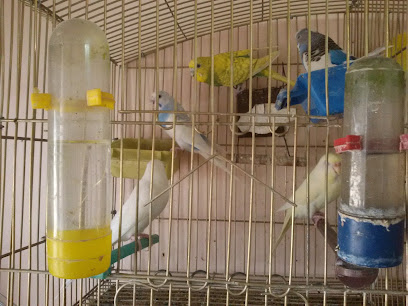 عيادة المتحدة البيطرية