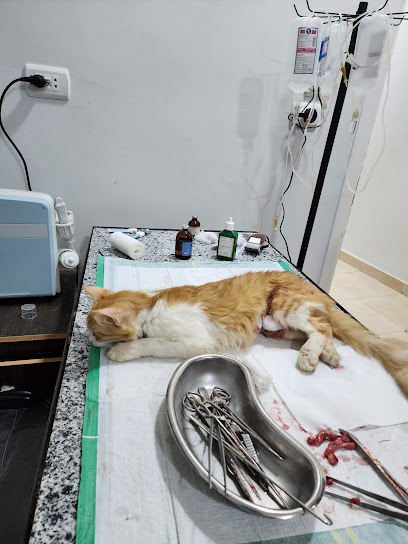 عيادة حيوانات اليفة cute pets