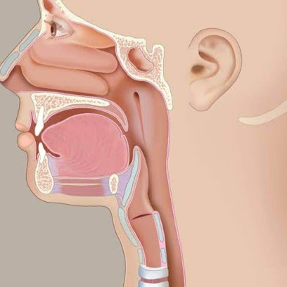 عيادة أستاذ دكتور خلف حميد أنف وأذن وحنجرة