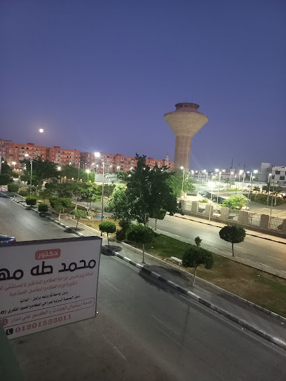 Dr. Mohamed Taha Mehanna (د. محمد طه مهنا)