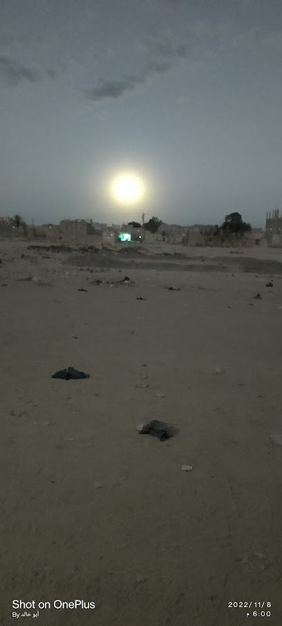 عياده الدكتور فكري النائب للطب النفسي
