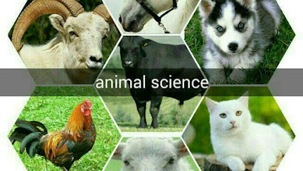 العيادة البيطرية د/ يزن الحمادي -صنعاء 771568235