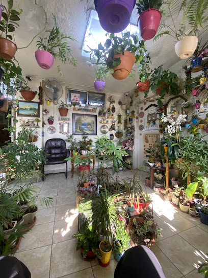 Dr. Nizar Rashed Al Halabi Clinic