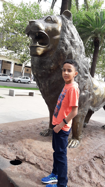 دار الولادة الرحمة maison de naissance rahma