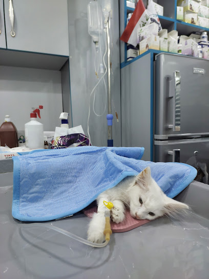 عيادة فيت لاند البيطرية - Vet Land Clinic