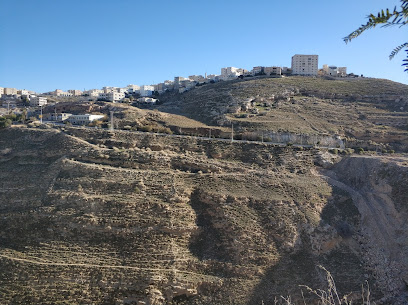 مركز صحي الكرك