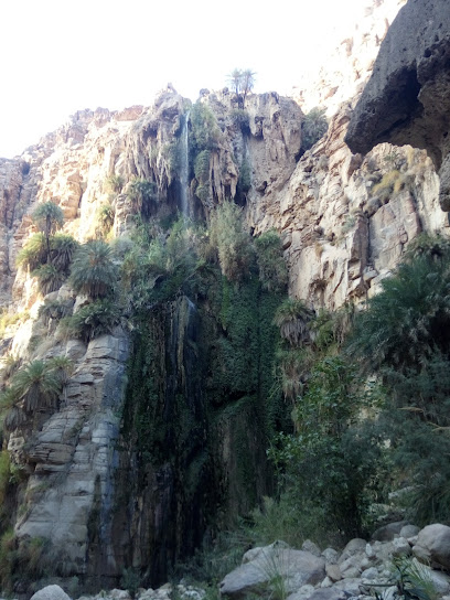 مركز صحي وادي الكرك