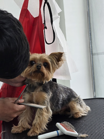 عيادة د. جيمي البيطرية