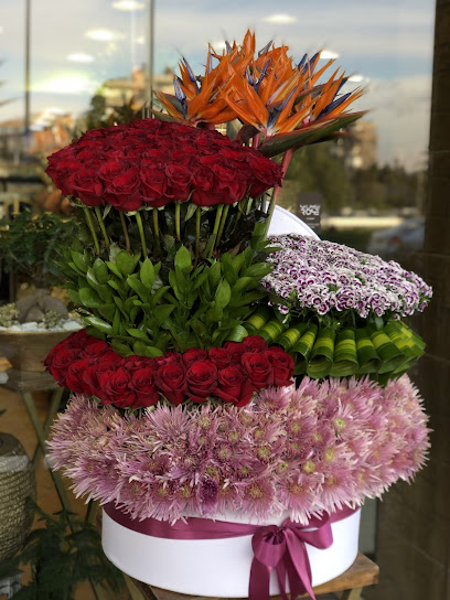 سلامة روز