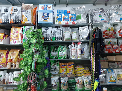 Bambalouni el madina