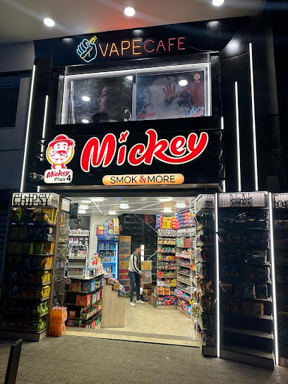 mickey store