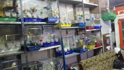 أبو أنس لبيع العصافير