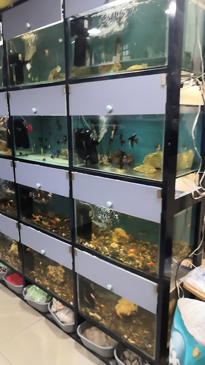 محل لؤلؤه مستلزمات حيوانات اليفه