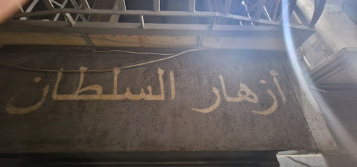 محل السلطان