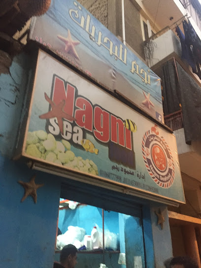 نجم للبحريات