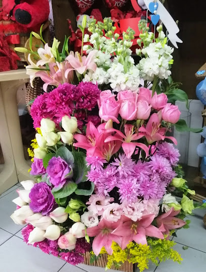 Safadieh Flowers ازهار صفديه