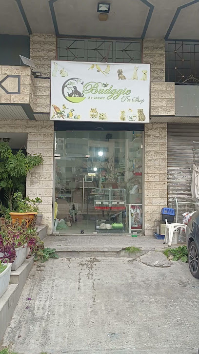 Budggy pet shop