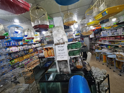 معرض عالم الكناري