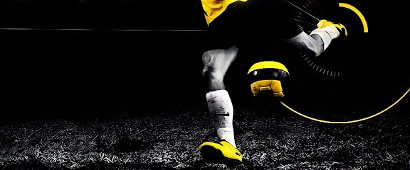 نجوم الرياضة Sport Stars