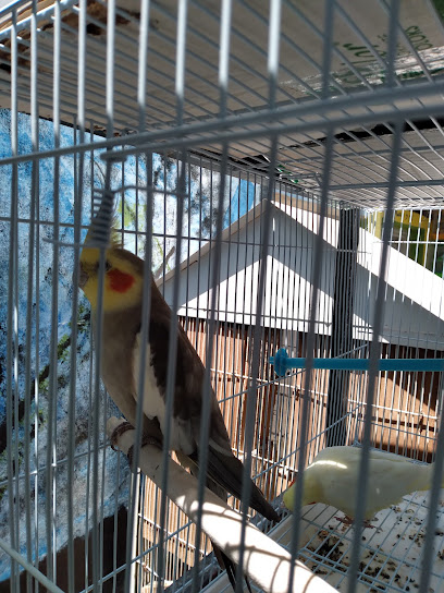 Marché central de Salé