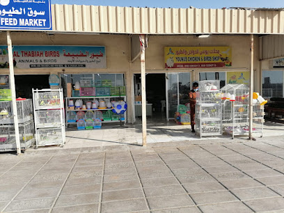 سوق السمك أم القيوين والخضار