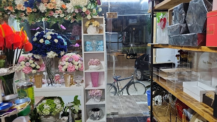 ازهار النور